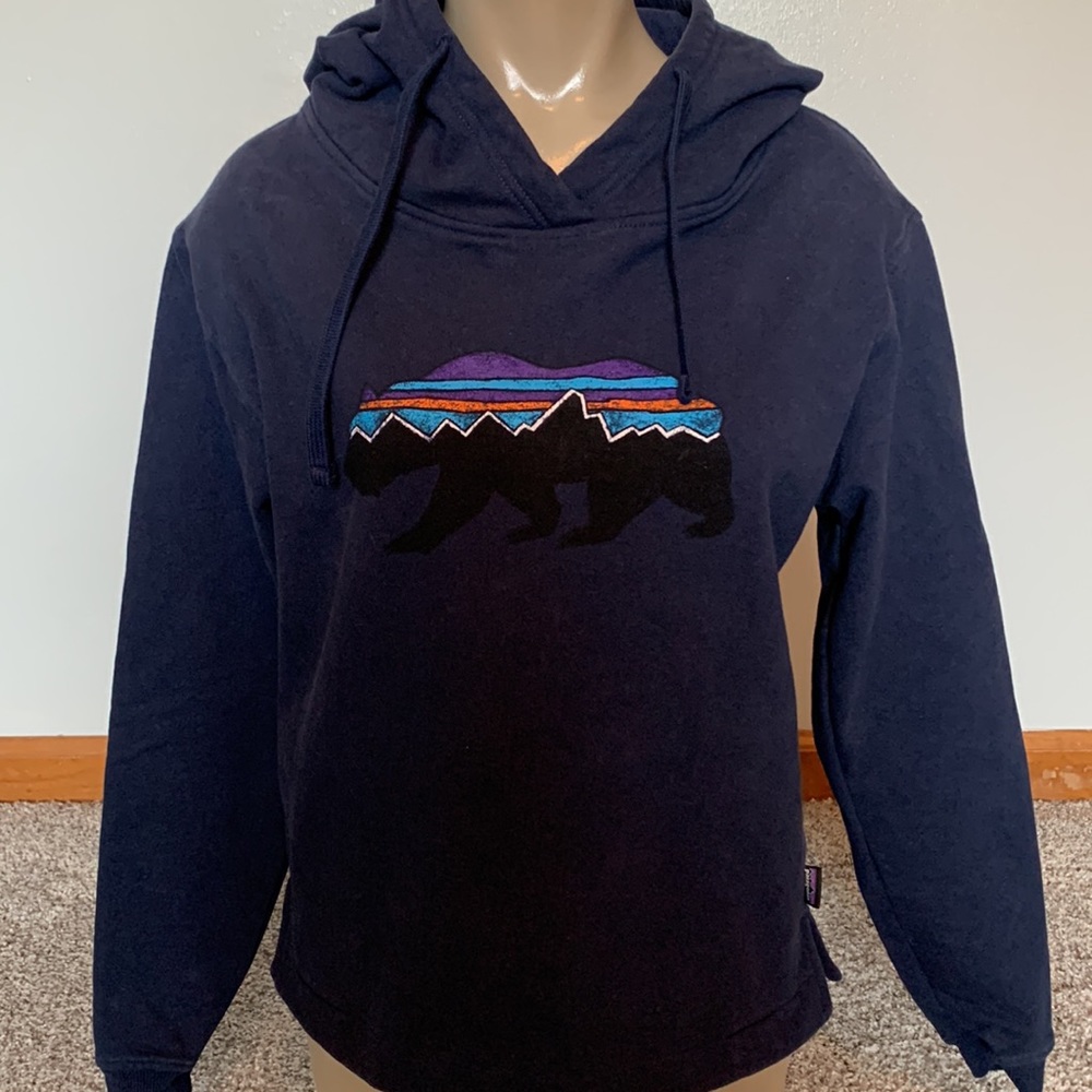 Patagonia Hoodie